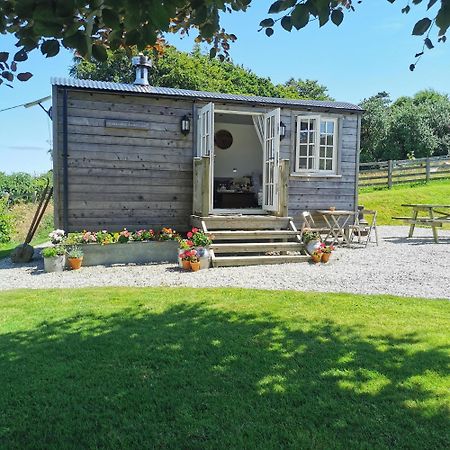 Elvan Farm Shepherd'S Hut Villa Exeter Exterior foto