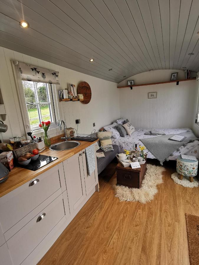 Elvan Farm Shepherd'S Hut Villa Exeter Exterior foto