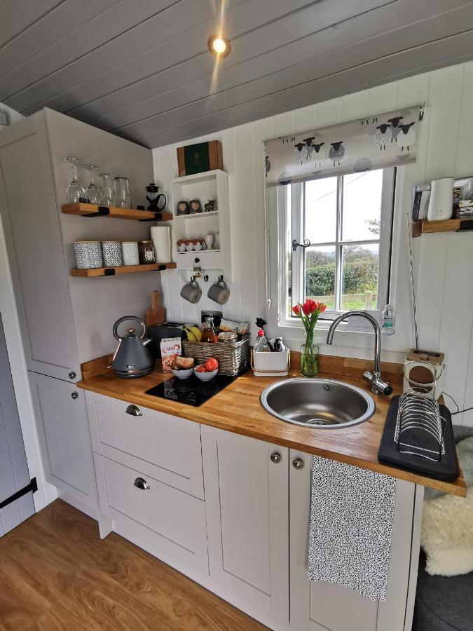 Elvan Farm Shepherd'S Hut Villa Exeter Exterior foto