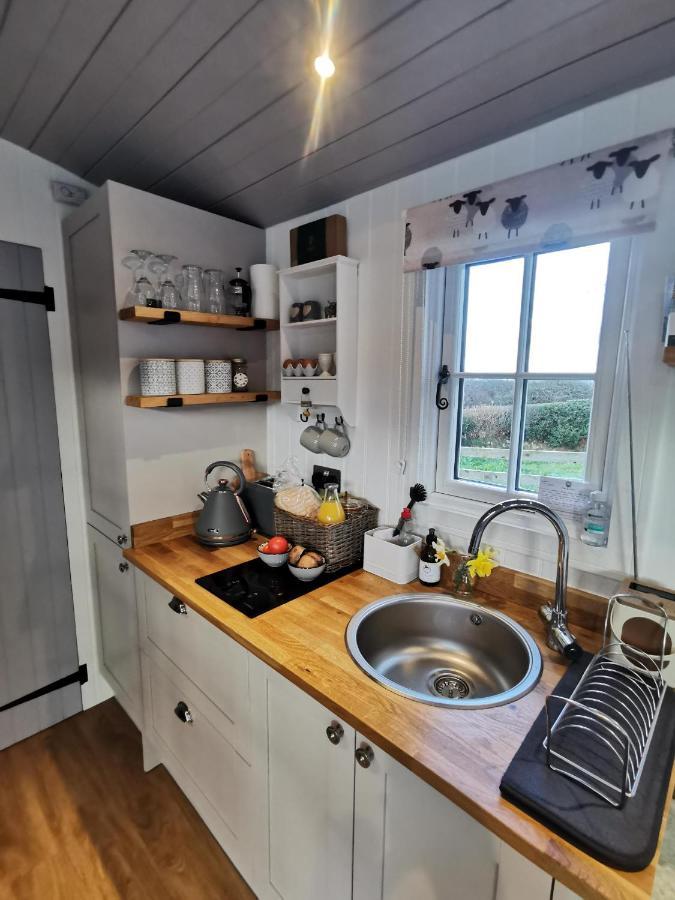 Elvan Farm Shepherd'S Hut Villa Exeter Exterior foto