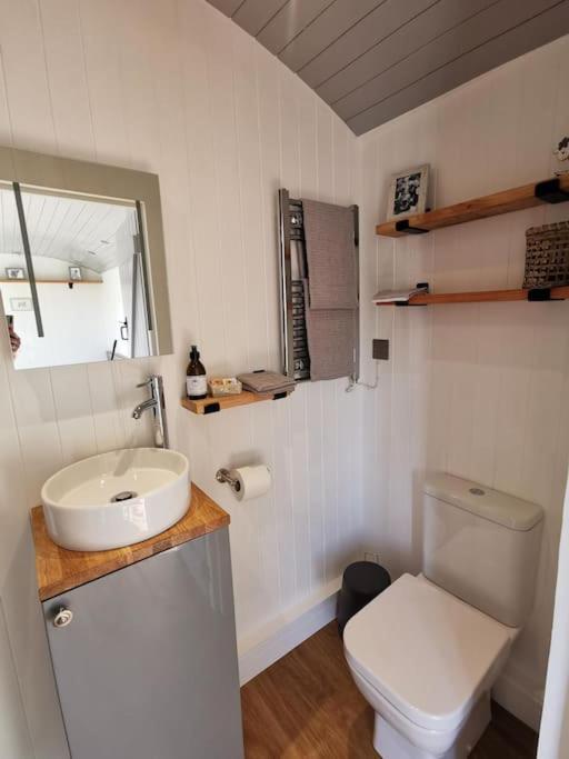 Elvan Farm Shepherd'S Hut Villa Exeter Exterior foto